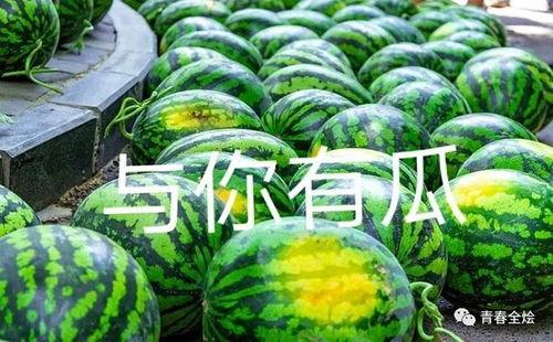 天津学校座椅吃瓜,引发校园热议