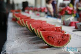 下班后吃瓜,瓜田里的欢乐时光