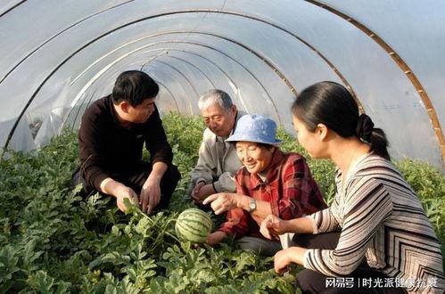 魏县水城诊所吃瓜