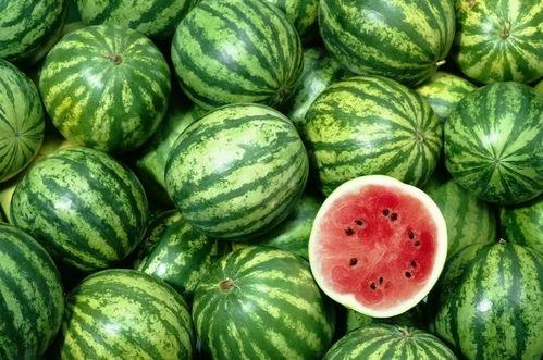 吃瓜人员必备,轻松掌握娱乐圈热点攻略