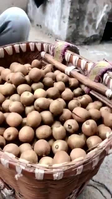 带你吃瓜野生学生,野生学生的趣味生活