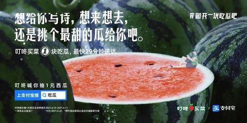 热门吃瓜文案,揭秘热门吃瓜文案背后的故事