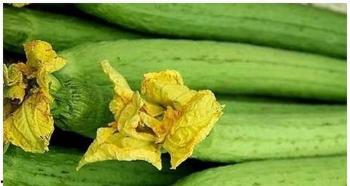 远离吃瓜的图片,拥抱宁静——远离吃瓜者的生活哲学