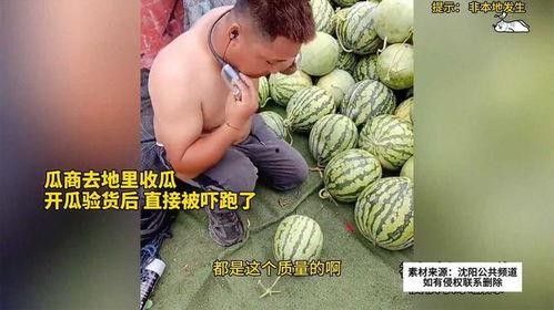 八零后吃瓜趣事,那些年我们一起吃瓜的趣事