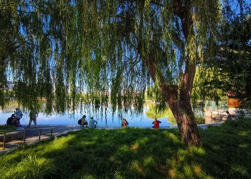 玉渊潭公园吃瓜,清凉一夏，共享瓜果飘香