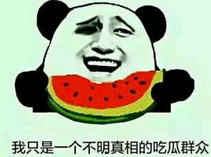 各国网友在线吃瓜吃瓜群众上线