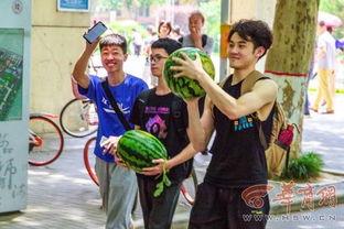 吃瓜吃货学院,解锁美食与娱乐的双重盛宴