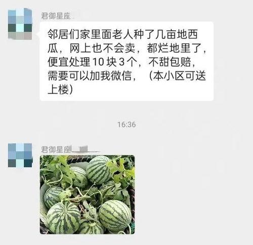 吃瓜与卖瓜头像区别在哪