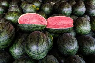 关于恐怖的吃瓜,揭秘恐怖事件的背后真相