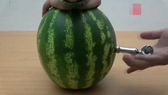 一树吃瓜,揭秘瓜果世界的奇妙之旅