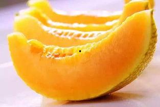 吃李子再吃哈密瓜,味蕾的双重盛宴