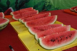 菏泽单县吃瓜事件,一场网络热议背后的真相与反思