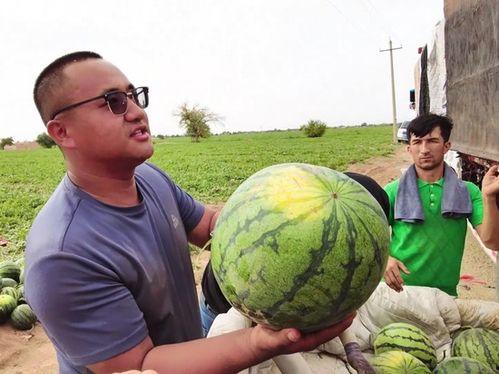 鄢陵吃瓜新闻视频,一场引发热议的街头事件