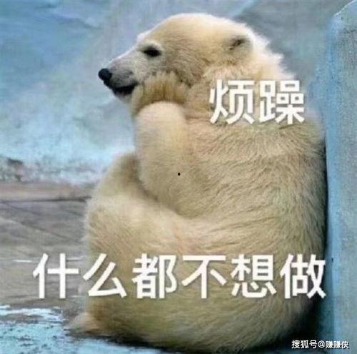 吃瓜群众出现图片,揭秘网络热图背后的故事