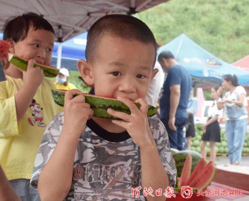 上朝吃瓜超长版,上朝吃瓜背后的宫廷秘闻