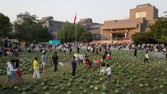 中国民众吃瓜,揭秘网络舆论场中的娱乐与真相