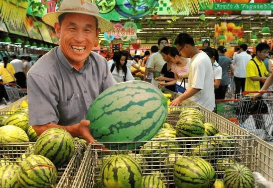 中国民众吃瓜,揭秘网络舆论场中的娱乐与真相