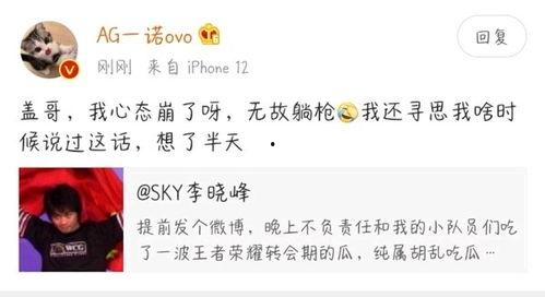 sky 吃瓜,sky吃瓜事件背后的真相与影响