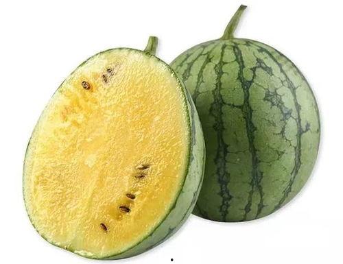 板凳打卡吃瓜,吃瓜群众的新潮流