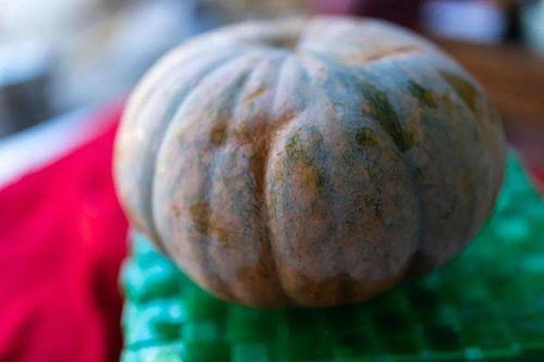 七瓣花瓣吃瓜,探寻神秘瓜果的秘密