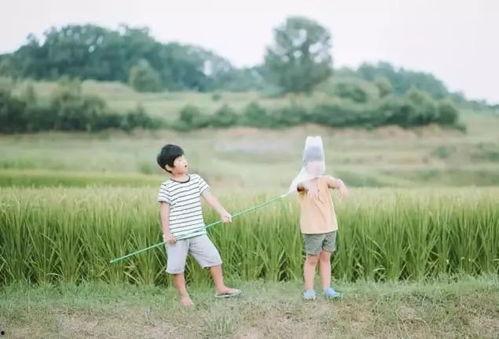 摄影师吃瓜图片大全,趣味盎然的美食瞬间大盘点