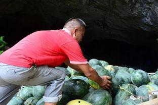 吃瓜哥郴州,揭秘这座城市的美食与风情