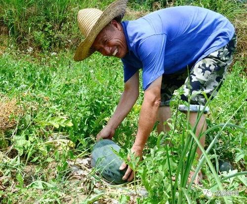 吃瓜哥郴州,揭秘这座城市的美食与风情