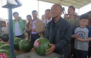 养老吃瓜服,揭秘新时代养老新风尚