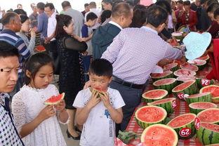 养老吃瓜服,揭秘新时代养老新风尚