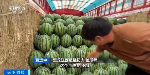 维达吃瓜,揭秘娱乐圈幕后故事