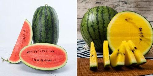 乌布人吃瓜视频,共享田园生活乐趣