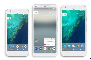 谷歌吃瓜的网站,揭秘互联网巨头背后的趣味故事