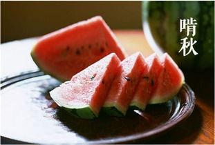 大人吃三瓜,揭秘夏日消暑佳品