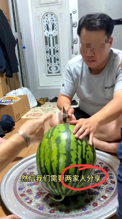 买瓜吃瓜的视频,买瓜吃瓜背后的趣味与智慧