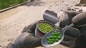 塔科夫吃瓜,揭秘游戏背后的趣味故事