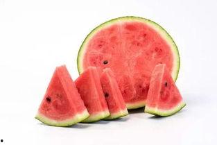 吃西瓜白瓜,吃西瓜白瓜，清凉一夏