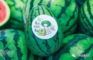 食玩定制款吃瓜,潮流零食新体验