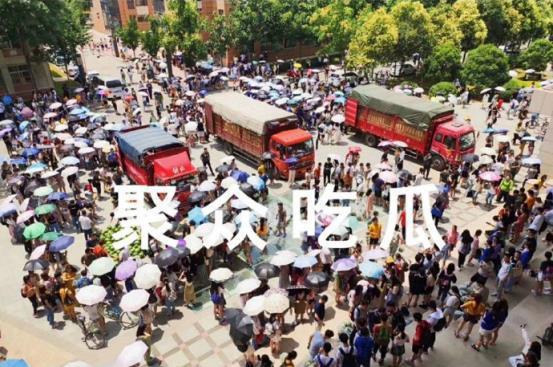 云南高校吃瓜,瓜香四溢，味蕾盛宴