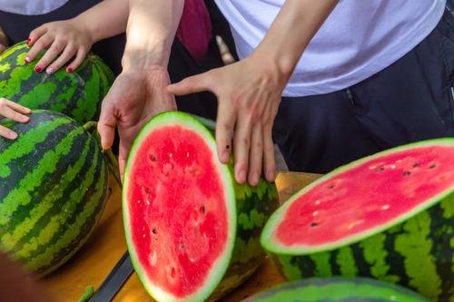 云南高校吃瓜,瓜香四溢，味蕾盛宴