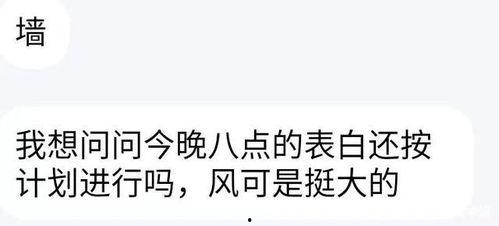 吃瓜表白图片,一张吃瓜表白图的浪漫解读