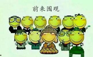 吃瓜群众甲乙,揭秘娱乐圈背后的故事