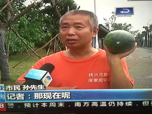 热点事件吃瓜视频,吃瓜群众视角下的吃瓜视频全解析