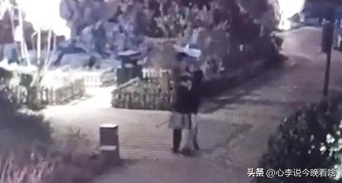 吃瓜现场完整视频,一窥娱乐圈幕后真相