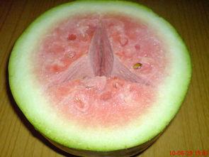 车标吃瓜,吃瓜群众眼中的汽车品牌风云录