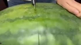 窜稀吃瓜,探寻“窜稀吃瓜”现象背后的社会文化解读