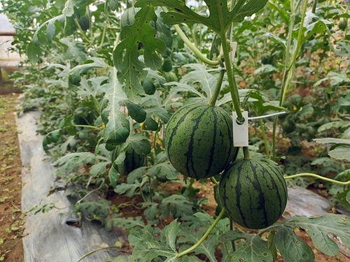 小赞吃瓜,揭秘娱乐圈那些不为人知的幕后故事