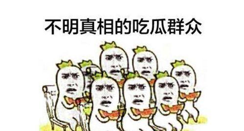 东城吃瓜群众新闻,最新新闻事件深度解析
