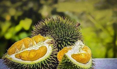 会长吃瓜 作者,揭秘娱乐圈幕后真相