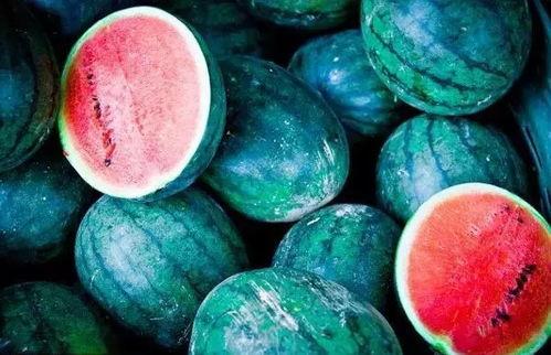 澳洲蜜瓜吃死人