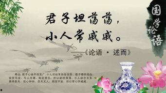 形容吃瓜的名言,一网打尽吃瓜群众的智慧瞬间